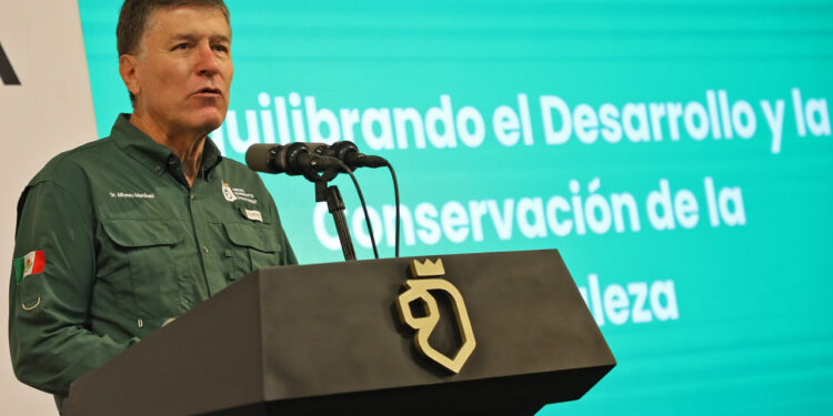 PLANTA NL MEDIO MILLÓN DE ÁRBOLES 1 PLANTA NL MEDIO MILLÓN DE ÁRBOLES