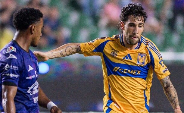 ¿QUÉ HACES TIGRES? 1 ¿QUÉ HACES TIGRES?