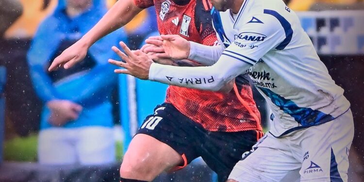 APENITAS 1 img 7817 1