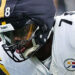 JAMES DANIELS SE PIERDE EL RESTO DE LA TEMPORADA CON LOS STEELERS