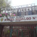 ENTRA PITBULL A ESCUELA Y MUERDE A 6 ESTUDIANTES 7 ENTRA PITBULL A ESCUELA Y MUERDE A 6 ESTUDIANTES