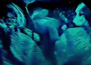 PREPÁRATE MAMÁ: CAPTAN EN ECOGRAFÍAPELEA DE GEMELAS DENTRO DEL ÚTERO.