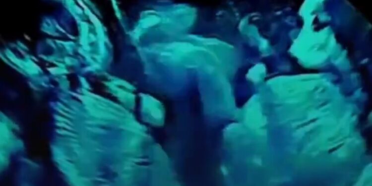 PREPÁRATE MAMÁ: CAPTAN EN ECOGRAFÍAPELEA DE GEMELAS DENTRO DEL ÚTERO. 1 PREPÁRATE MAMÁ: CAPTAN EN ECOGRAFÍAPELEA DE GEMELAS DENTRO DEL ÚTERO.