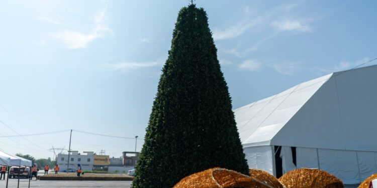 BRILLARÁ NAVIDAD EN JUÁREZ; DISFRUTARÁN JUARENSES POR PRIMERA VEZ DE PISTA DE HIELO Y OTRAS ATRACCIONES EN FESTIVAL ORGANIZADO POR GOBIERNO DE FÉLIX ARRATIA 1 BRILLARÁ NAVIDAD EN JUÁREZ; DISFRUTARÁN JUARENSES POR PRIMERA VEZ DE PISTA DE HIELO Y OTRAS ATRACCIONES EN FESTIVAL ORGANIZADO POR GOBIERNO DE FÉLIX ARRATIA