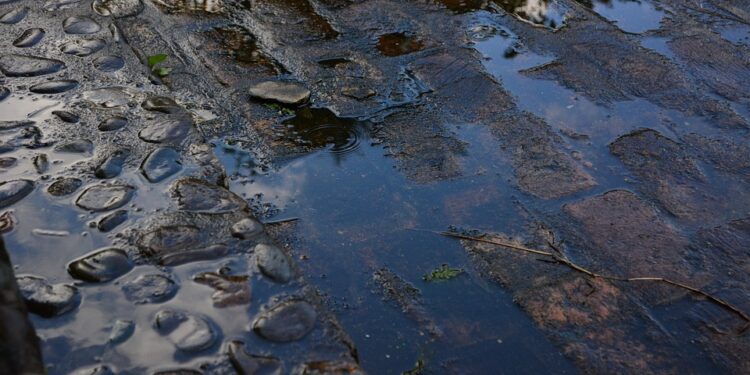 FRENTE FRÍO NÚMERO 10 TRAERÁ LLUVIAS Y VIENTOS FUERTES EN MÉXICO 1 FRENTE FRÍO NÚMERO 10 TRAERÁ LLUVIAS Y VIENTOS FUERTES EN MÉXICO
