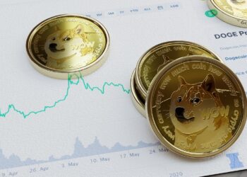 DOGECOIN SUBE TRAS ANUNCIO DE “DEPARTAMENTO DE EFICIENCIA GUBERNAMENTAL”