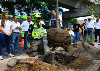 LLEVAN BOSQUES URBANOS A GUADALUPE