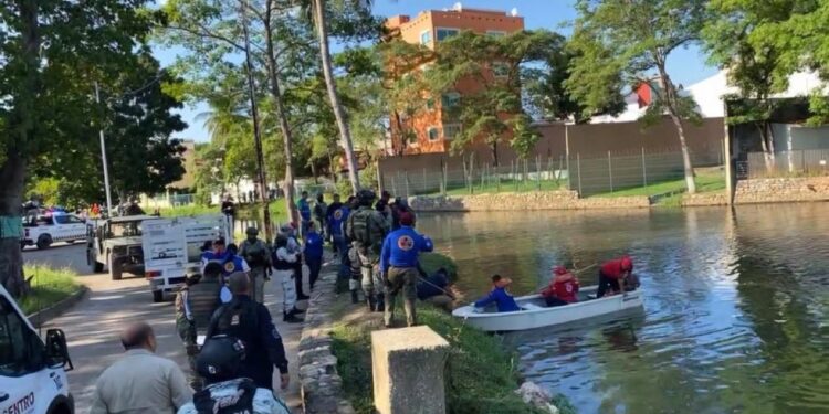 COCODRILO MATA A HOMBRE EN LAGUNA DE LAS ILUSIONES, EN VILLAHERMOSA, TABASCO; LA VÍCTIMA SE DEDICABA A LIMPIAR PARABRISAS