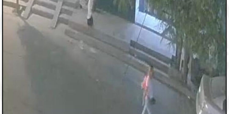 INVESTIGAN IMÁGENES Y HUELLAS DE PLAGIARIAS DE BEBÉ 1 INVESTIGAN IMÁGENES Y HUELLAS DE PLAGIARIAS DE BEBÉ