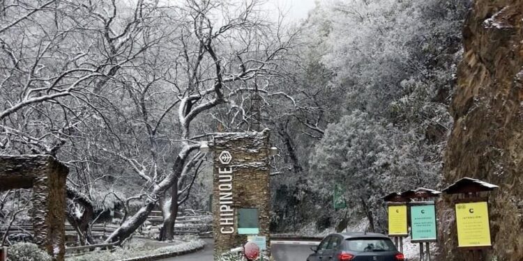 ALERTA PROTECCIÓN CIVIL POR FORMACIÓN DE HIELO EN CARRETERAS A PARTIR DE ESTE MARTES; PIDEN NO ACUDIR A CHIPINQUE. 1 ALERTA PROTECCIÓN CIVIL POR FORMACIÓN DE HIELO EN CARRETERAS A PARTIR DE ESTE MARTES; PIDEN NO ACUDIR A CHIPINQUE.