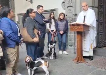 MASCOTAS RECIBEN BENDICIÓN EN HONOR A SAN ANTONIO ABAD
