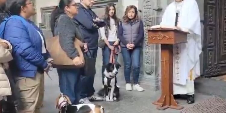 MASCOTAS RECIBEN BENDICIÓN EN HONOR A SAN ANTONIO ABAD 1 MASCOTAS RECIBEN BENDICIÓN EN HONOR A SAN ANTONIO ABAD