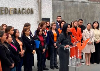 PRESENTA ALE MORALES AMPARO CONTRA VINCULACIÓN A PROCESO POR CAUSAR “ANSIEDAD Y TRISTEZA” A DIPUTADA PANISTA.