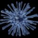 AUMENTAN CASOS DE METAPNEUMOVIRUS HUMANO EN CHINA 7 AUMENTAN CASOS DE METAPNEUMOVIRUS HUMANO EN CHINA