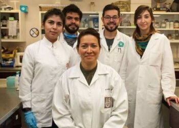 CIENTÍFICA MEXICANA LOGRA ERRADICAR EL VIRUS DEL PAPILOMA HUMANO ;EVA RAMÓN GALLEGOS COMPRUEBA ELIMINACIÓN CON TERAPIA FOTODINÁMICA.