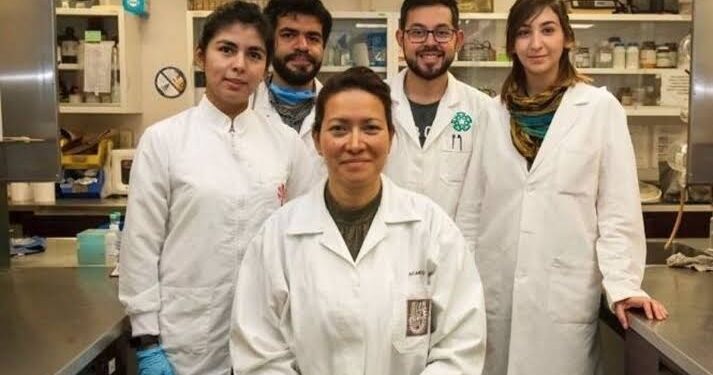 CIENTÍFICA MEXICANA LOGRA ERRADICAR EL VIRUS DEL PAPILOMA HUMANO ;EVA RAMÓN GALLEGOS COMPRUEBA ELIMINACIÓN CON TERAPIA FOTODINÁMICA. 1 CIENTÍFICA MEXICANA LOGRA ERRADICAR EL VIRUS DEL PAPILOMA HUMANO ;EVA RAMÓN GALLEGOS COMPRUEBA ELIMINACIÓN CON TERAPIA FOTODINÁMICA.