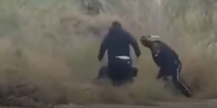 "MUERDEN" ¡Y GOLPEAN! CAPTAN AGRESIÓN DE AGENTES DE TRÁNSITO A TRÁILERO EN RETÉN DE CIÉNEGA DE FLORES, NL. 1 “MUERDEN” ¡Y GOLPEAN! CAPTAN AGRESIÓN DE AGENTES DE TRÁNSITO A TRÁILERO EN RETÉN DE CIÉNEGA DE FLORES, NL.