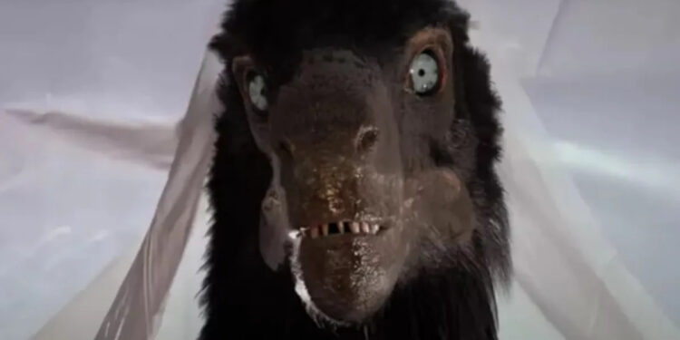 UN FAN MODIFICA JURASSIC PARK PARA MOSTRAR DINOSAURIOS CIENTÍFICAMENTE PRECISOS 1 UN FAN MODIFICA JURASSIC PARK PARA MOSTRAR DINOSAURIOS CIENTÍFICAMENTE PRECISOS