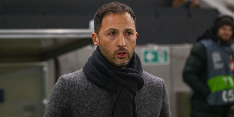 BÉLGICA DESPIDE A DOMENICO TEDESCO TRAS RESULTADOS DECEPCIONANTES