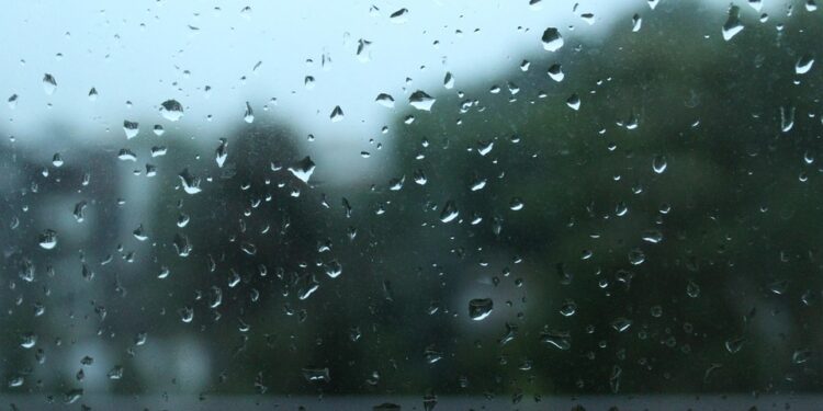 VUELVEN LAS HELADAS Y SIGUEN LAS LLUVIAS ESTE 4 DE FEBRERO 1 VUELVEN LAS HELADAS Y SIGUEN LAS LLUVIAS ESTE 4 DE FEBRERO