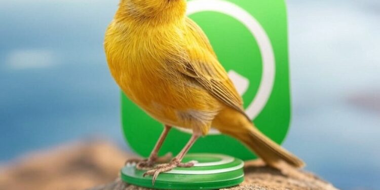 WHATSAPP ESTRENA EL “MODO CANARIO”: ASÍ PUEDES ACTIVARLO 1 WHATSAPP ESTRENA EL “MODO CANARIO”: ASÍ PUEDES ACTIVARLO
