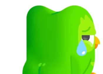 DUOLINGO LAMENTA LA MUERTE DE SU MASCOTA Y ESTREMECE LAS REDES