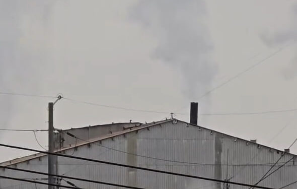 CREARÁN CERCO ECOLÓGICO ALREDEDOR DE ZINC NACIONAL; DONARÁ PARQUES Y VIDA SILVESTRE 8 MIL ÁRBOLES PARA SEMBRAR ALREDEDOR DE LA PLANTA