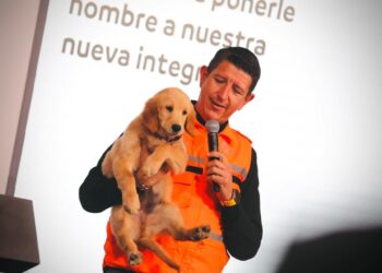 PRESENTAN NUEVA INTEGRANTE DE MANADA K9 DE PROTECCIÓN CIVIL; PERRITA LABRADOR DE 3 MESES PARTICIPARÁ EN TAREAS DE BÚSQUEDA DE PERSONAS Y DESASTRES NATURALES. 1 PRESENTAN NUEVA INTEGRANTE DE MANADA K9 DE PROTECCIÓN CIVIL; PERRITA LABRADOR DE 3 MESES PARTICIPARÁ EN TAREAS DE BÚSQUEDA DE PERSONAS Y DESASTRES NATURALES.