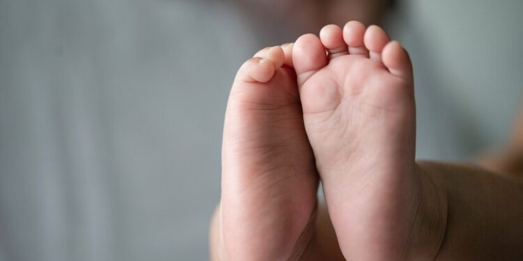 BROTE DE TOS FERINA EN MÉXICO: UN BEBÉ FALLECE Y SE CONFIRMAN 120 CASOS 1 BROTE DE TOS FERINA EN MÉXICO: UN BEBÉ FALLECE Y SE CONFIRMAN 120 CASOS