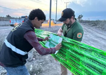 SUSPENDEN NL Y PROFEPA DESARROLLO QUE DESTRUÍA HUMEDALES Y AMENAZABA ESPECIES EN ZUAZUA.