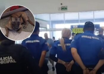 GASEAN GUARDIAS A PERRITO EN CENTRO COMERCIAL; DETIENEN A ELEMENTOS DE SEGURIDAD PRIVADA POR MALTRATO ANIMAL 