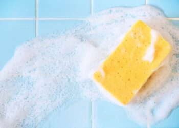 ESPONJAS DE COCINA: UN FOCO DE BACTERIAS QUE POCOS LIMPIAN BIEN