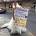 LA NOVIA ESTAFADA; MUJER CON VESTIDO DE BODA PROTESTA EN CALLES DE MONTERREY POR PRESUNTO FRAUDE DE 'WEDDING PLANNER' 7 img 9755 1