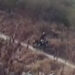 CAPTAN CÁMARAS INCENDIOS PROVOCADOS EN GARCÍA; EXHIBE SAMUEL A HOMBRE PRENDIENDO FUEGO Y ESTACAS CON GASOLINA 7 CAPTAN CÁMARAS INCENDIOS PROVOCADOS EN GARCÍA; EXHIBE SAMUEL A HOMBRE PRENDIENDO FUEGO Y ESTACAS CON GASOLINA