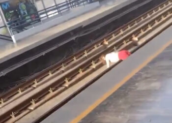 SE SALVA MUJER EN VÍAS DEL METRO