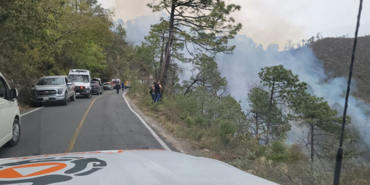 MUEREN 12 Y 4 MÁS RESULTAN LESIONADOS AL VOLCARSE CAMIONETA, CAER A UN BARRANCO E INCENDIARSE EN LA SIERRA DE SANTIAGO 1 MUEREN 12 Y 4 MÁS RESULTAN LESIONADOS AL VOLCARSE CAMIONETA, CAER A UN BARRANCO E INCENDIARSE EN LA SIERRA DE SANTIAGO