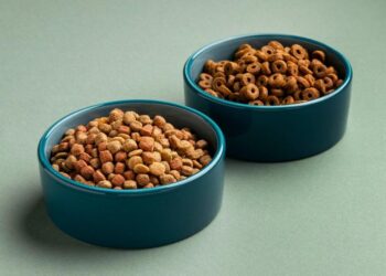 RETIRAN ALIMENTO PARA MASCOTAS POR BACTERIAS