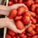 EUA AMENAZA CON ARANCELES A LOS TOMATES MEXICANOS 7 EUA AMENAZA CON ARANCELES A LOS TOMATES MEXICANOS