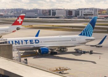 INCENDIO EN AVIÓN POR CULPA DE UN CONEJO