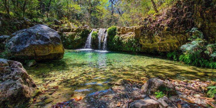 INCREMENTA LA ESTANZUELA VISITANTES EN 350%; ESTRENA PARQUE ESTATAL 3 NUEVAS BRECHAS. 1 INCREMENTA LA ESTANZUELA VISITANTES EN 350%; ESTRENA PARQUE ESTATAL 3 NUEVAS BRECHAS.