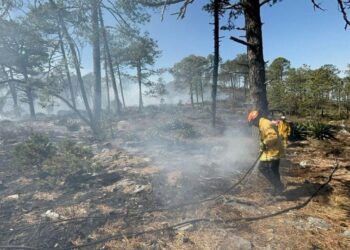 CONTROLA ESTADO 70% DE INCENDIO FORESTAL EN GALEANA; DESCARTA PROTECCIÓN CIVIL RIESGOS PARA COMUNIDADES ALEDAÑAS.