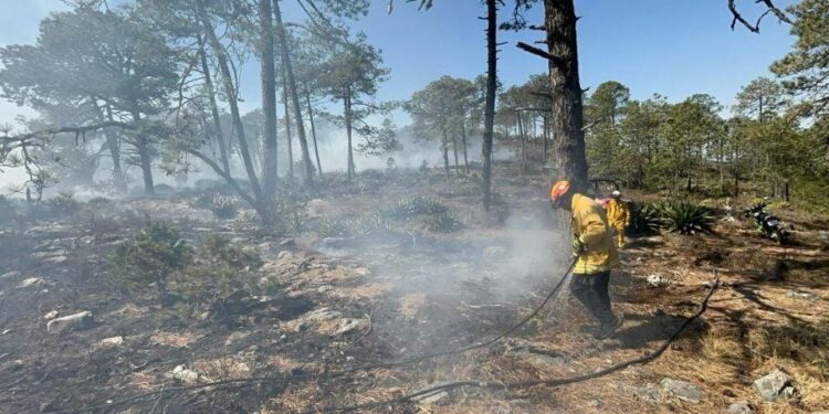 CONTROLA ESTADO 70% DE INCENDIO FORESTAL EN GALEANA; DESCARTA PROTECCIÓN CIVIL RIESGOS PARA COMUNIDADES ALEDAÑAS. 1 CONTROLA ESTADO 70% DE INCENDIO FORESTAL EN GALEANA; DESCARTA PROTECCIÓN CIVIL RIESGOS PARA COMUNIDADES ALEDAÑAS.