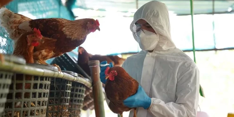 CONFIRMAN PRIMERA MUERTE HUMANA POR INFLUENZA AVIAR EN MÉXICO