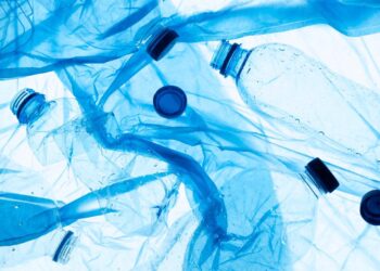 MICROPLÁSTICOS PODRÍAN AFECTAR TU ÁNIMO