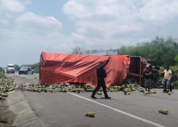 RAPIÑA DE PIÑA; ROBAN CONDUCTORES CARGAMENTO DE FRUTA TRAS ACCIDENTE DE TRÁILER EN CARRETERA A VICTORIA.