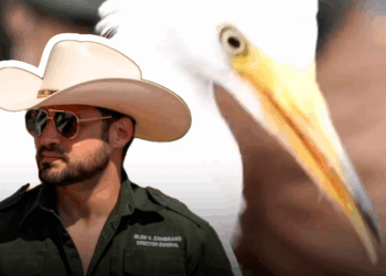 RESCATA PARQUES Y VIDA SILVESTRE 41 GARZAS JÓVENES EN PARQUE EL CAPITÁN