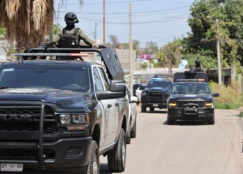 OPERACIÓN FRONTERA NORTE: MÉXICO INCAUTA 40 TONELADAS DE DROGA