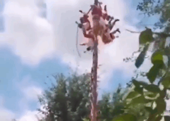 CAEN VOLADORES DE PAPANTLA EN VERACRUZ; 5 DANZANTES SUFREN CAÍDA DE MÁS DE 10 METROS DE ALTURA