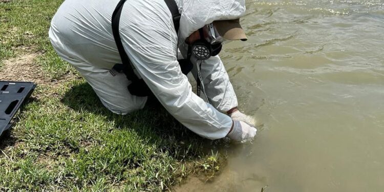 ANALIZA PVSNL CONTAMINACIÓN QUÍMICA COMO POSIBLE CAUSA DE LA MUERTE DE PECES EN RÍO PESQUERÍA 1 ANALIZA PVSNL CONTAMINACIÓN QUÍMICA COMO POSIBLE CAUSA DE LA MUERTE DE PECES EN RÍO PESQUERÍA