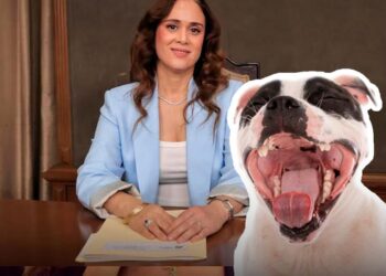 PIDE REGIDORA DE MONTERREY MULTAR A DUEÑOS DE PERROS QUE LADREN DEMASIADO; PAGARÍAN PROPIETARIOS HASTA $4500. 5 PIDE REGIDORA DE MONTERREY MULTAR A DUEÑOS DE PERROS QUE LADREN DEMASIADO; PAGARÍAN PROPIETARIOS HASTA $4500.